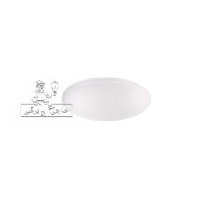 چراغ سقفی روکار سنسوردار 18 وات شعاع مدل SH-1115S-18W-چراغ SH-1115S-18W شعاع-چراغ سنسوردار شعاع-چراغ سقفی سنسوردار-چراغ روکار 18 وات-چراغ 1800 لومن-چراغ پخش نور 120 درجه-چراغ دیفیوز شعاع-چراغ نور طبیعی-چراغ بدنه ABS-چراغ سقفی 22 سانتی متر-چراغ سنسوردار راهرو-چراغ سنسوردار ورودی-چراغ فضای اداری-چراغ روشنایی عمومی-چراغ روکار داخلی-خرید چراغ SH-1115S-18W-قیمت چراغ سنسوردار شعاع-Sensor Ceiling Light-18W Sensor Light-1800 Lumen Ceiling Light-120 Degree Ceiling Light-SH-1115S-18W-Shoa Lighting-حاجی برقی